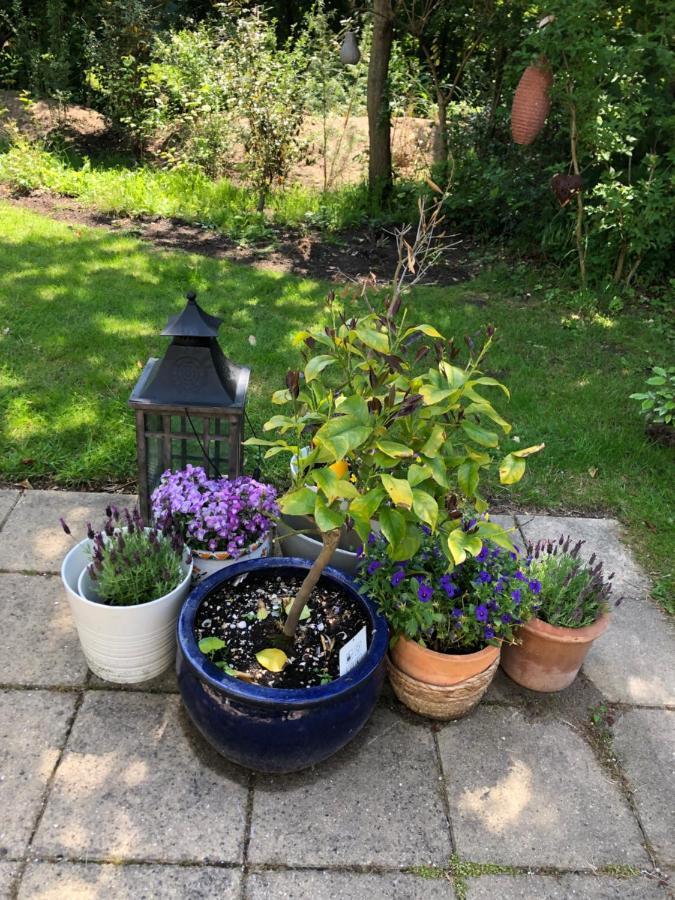 Privatunterkunft Dunes & Sea At Kijkduin *