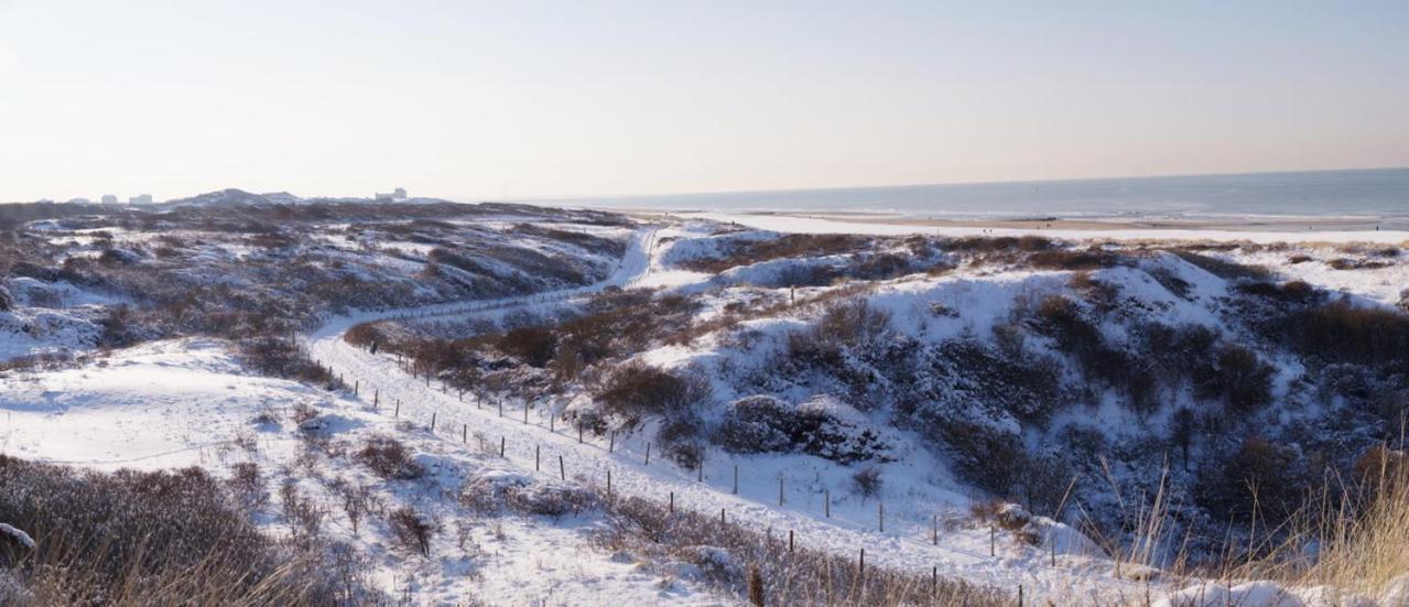 Dunes & Sea At Kijkduin Privatunterkunft *