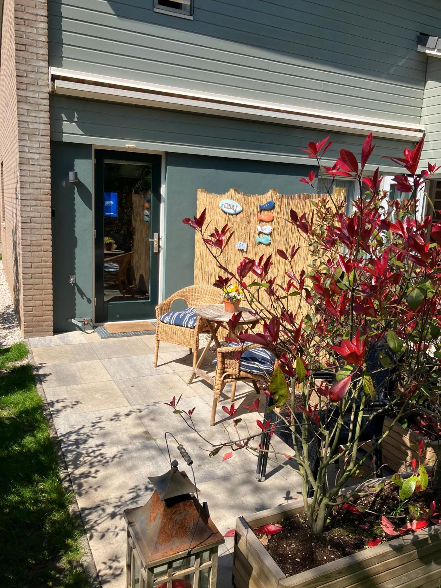 Dunes & Sea At Kijkduin